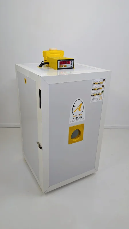 Amane Incubator 360