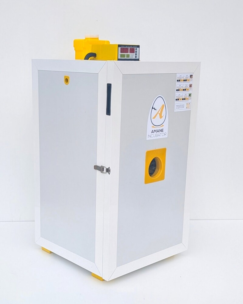 شركة فقاسة الأمان 